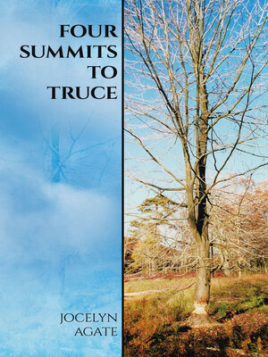 cover image of Four Summits to Truce